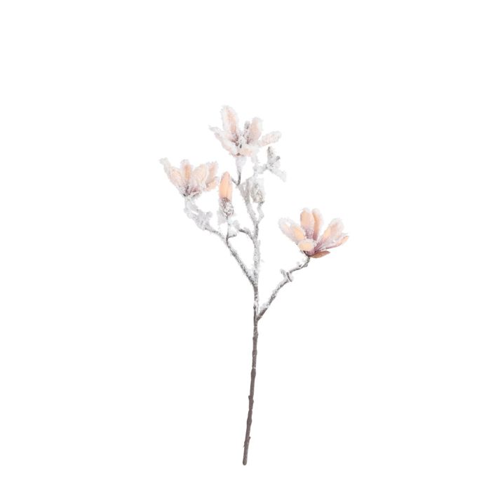 Magnolia beige