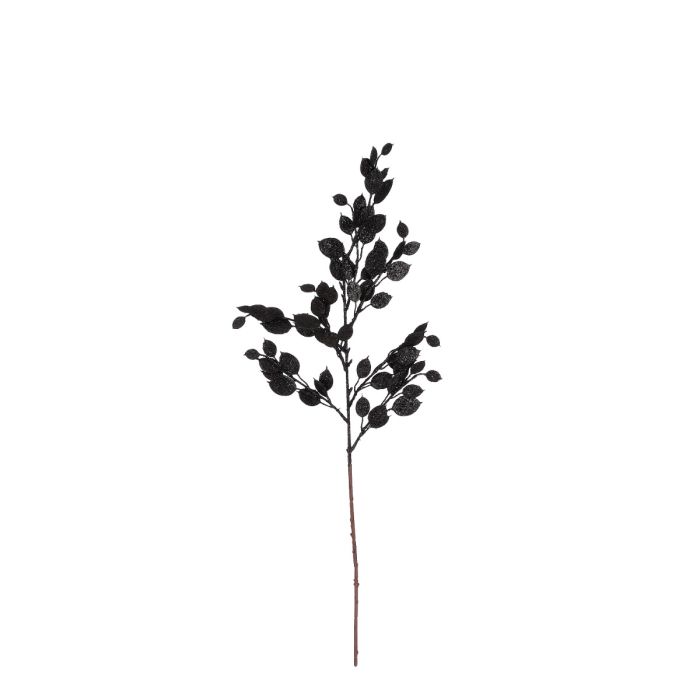 Monye plant gren sort