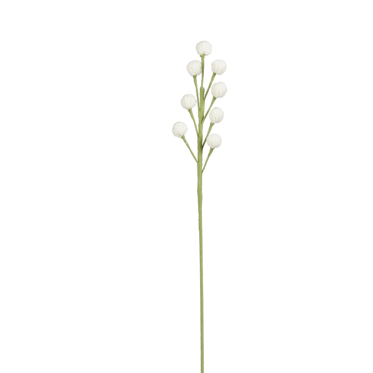 Vit virkad blomsterstjälk med små runda blomhuvuden och grön stjälk