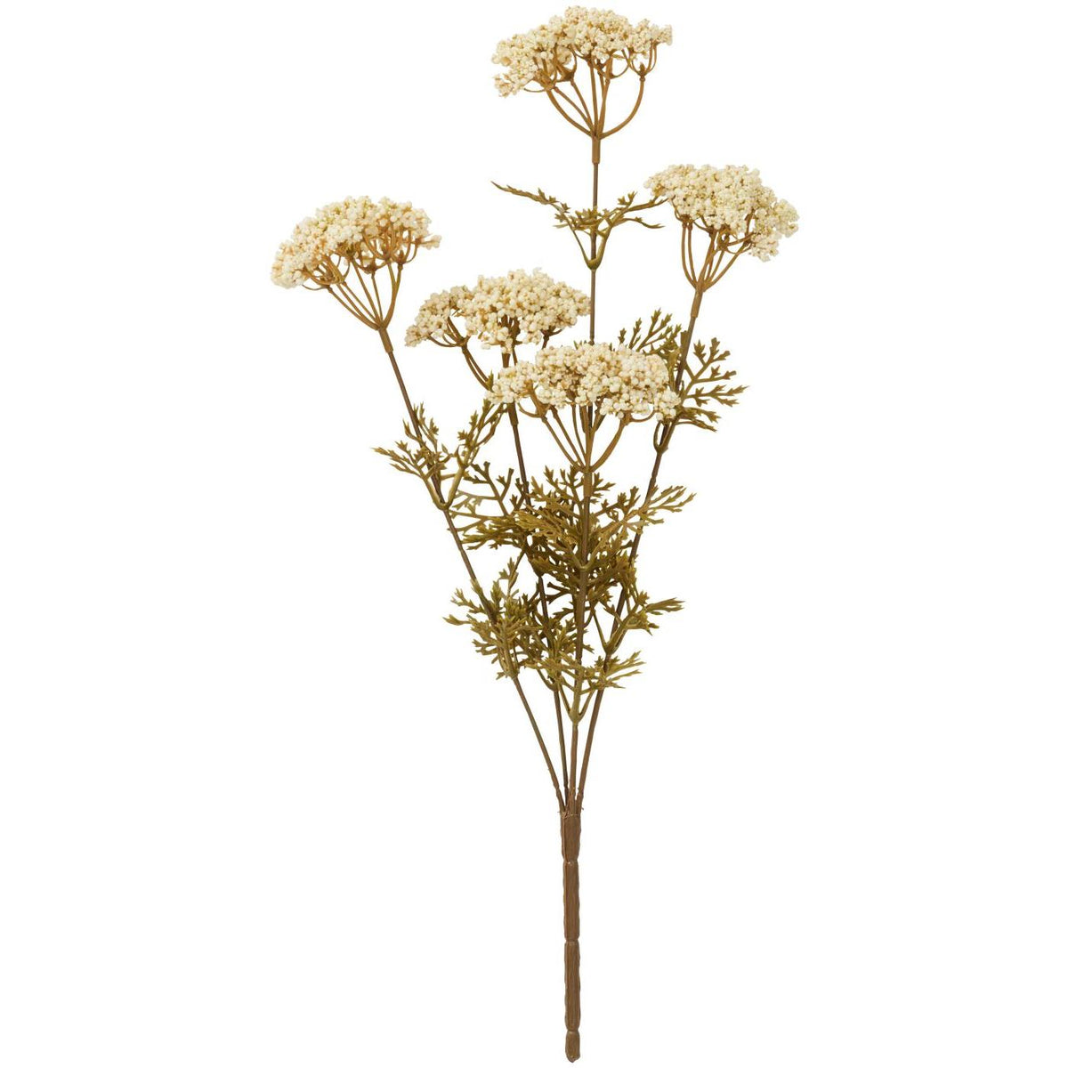 Konstgjord blomstjälk från Ib Laursen med fem vita skärmblommor och fina grönbruna blad.