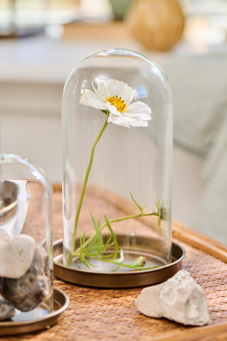 Lysbakke med kant i guldfarvet fra Ib Laursen med blomst og glasklokke over