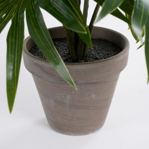 Palme 40 cm høj