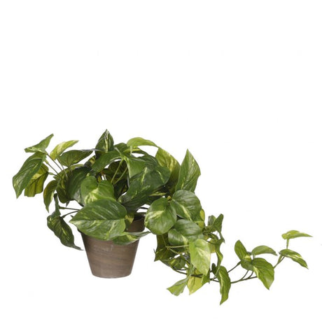 Pothos plante kunstig
