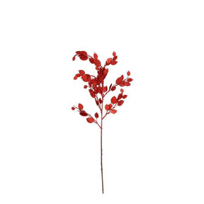 Monye plant gren red