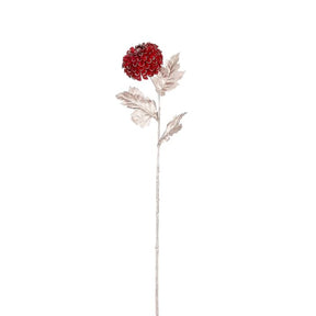 Krysantemum bordeaux