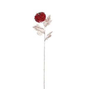 Krysantemum bordeaux