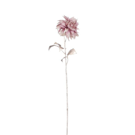 Krysantemum mauve med glimmer