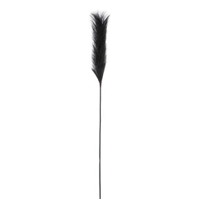 Plume græs sort