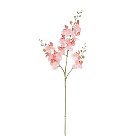 Lyserød Phalaenopsis orkidéstilk 75 cm.
