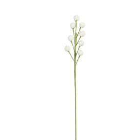 Vit virkad blomsterstjälk med små runda blomhuvuden och grön stjälk