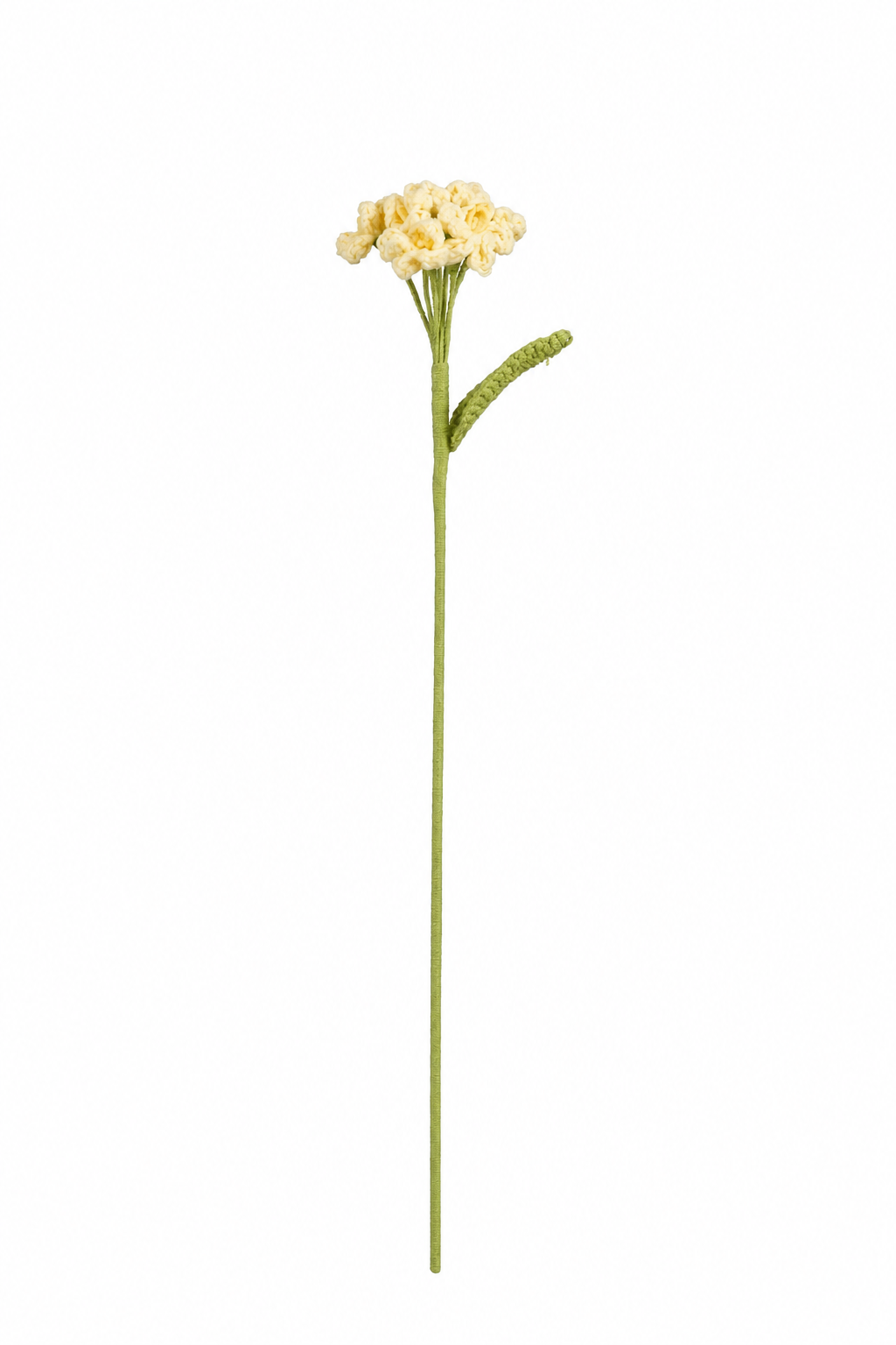 Gul virkad flox med fina små blommor samlade i en blomklase