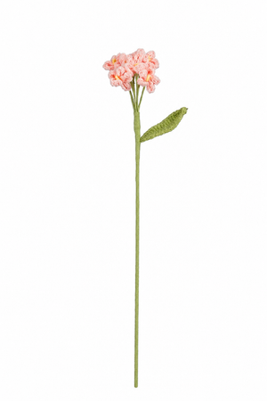 Ljusrosa virkad phloxblomstjälk för sommarbuketter och vaser