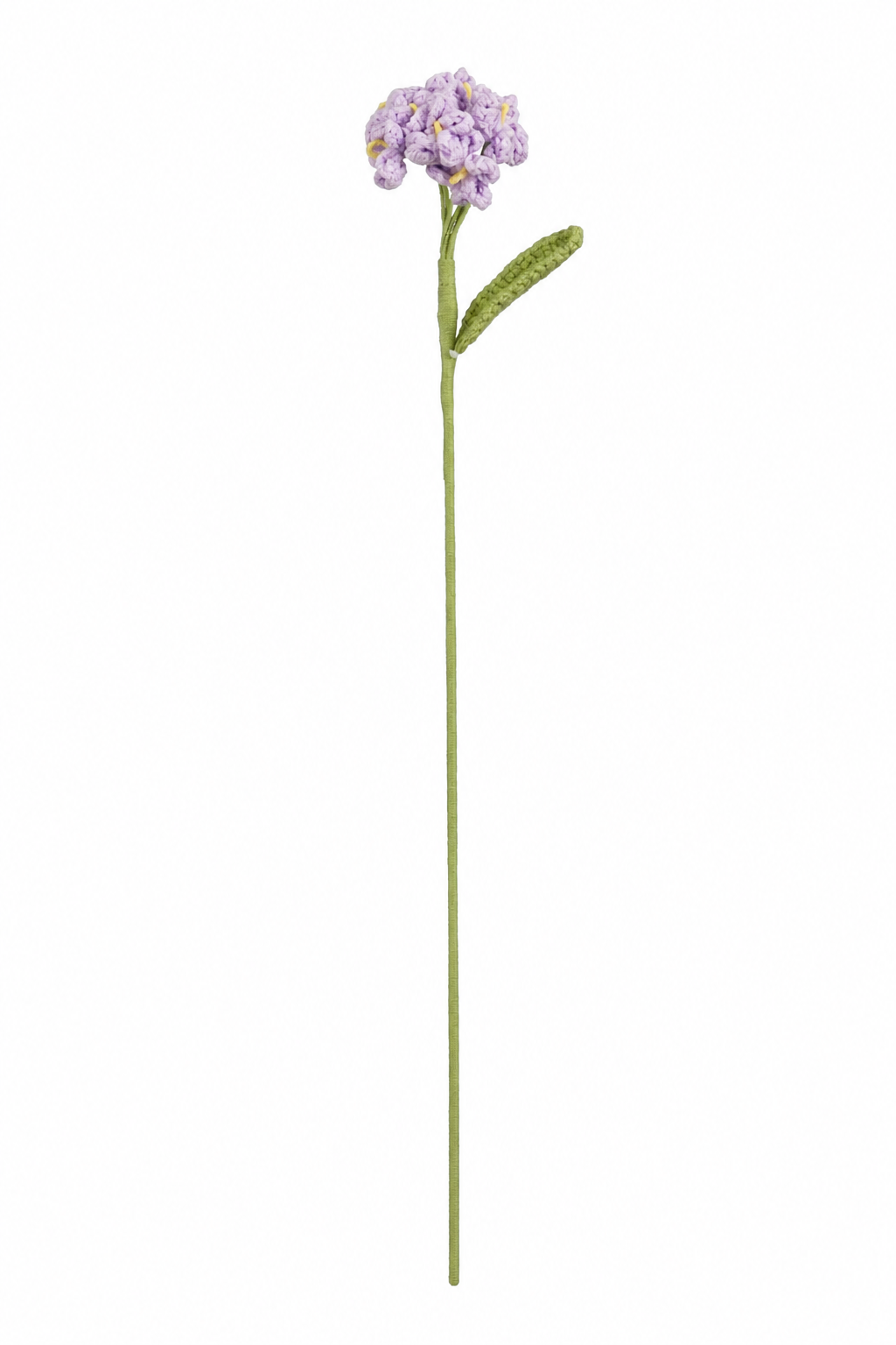 Lila virkad flox med små blommor och ett grönt blad för dekorativa buketter