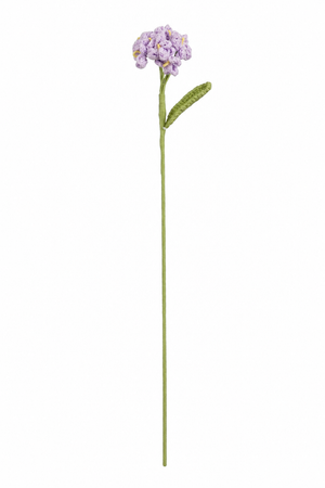 Lila virkad flox med små blommor och ett grönt blad för dekorativa buketter