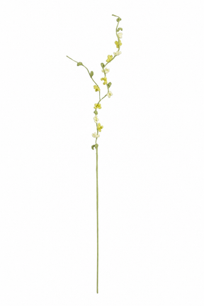 Gul virkad blomstergren med fina små blommor och gröna knoppar på slanka förgreningar
