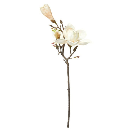 Kunstig cremehvid magnoliastilk fra Speedtsberg.