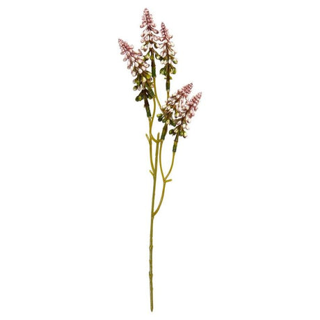 Perlehyacint blomsterstilk