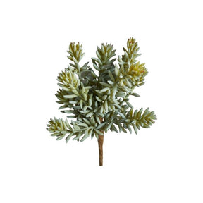 Sukkulent stilk 20 cm