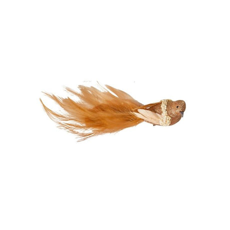 Ravfarvet fugl med klips og lange halefjer fra Speedtsberg.