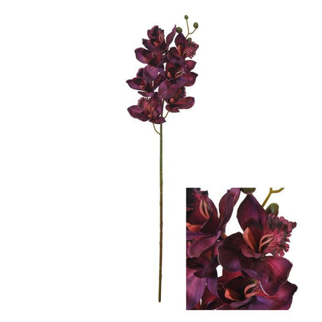 Naturtro Cymbidium orkidéstilk i mørklilla nuance med fyldige blomster.