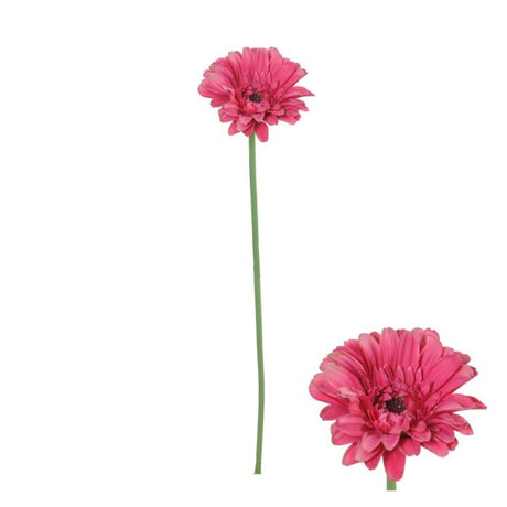 Kunstig pink gerbera 55 cm.