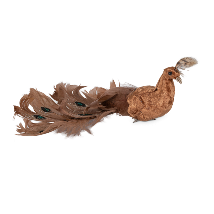 Påfugl guldfarvet