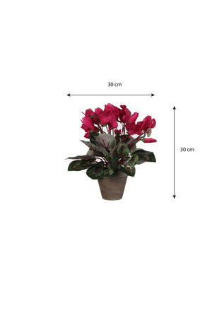Tegning med mål på en kunstig alpeviol med mørk rosa blomster