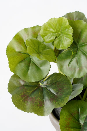 Grønne, kunstige blade på en pelargonie fra Mica set tæt på