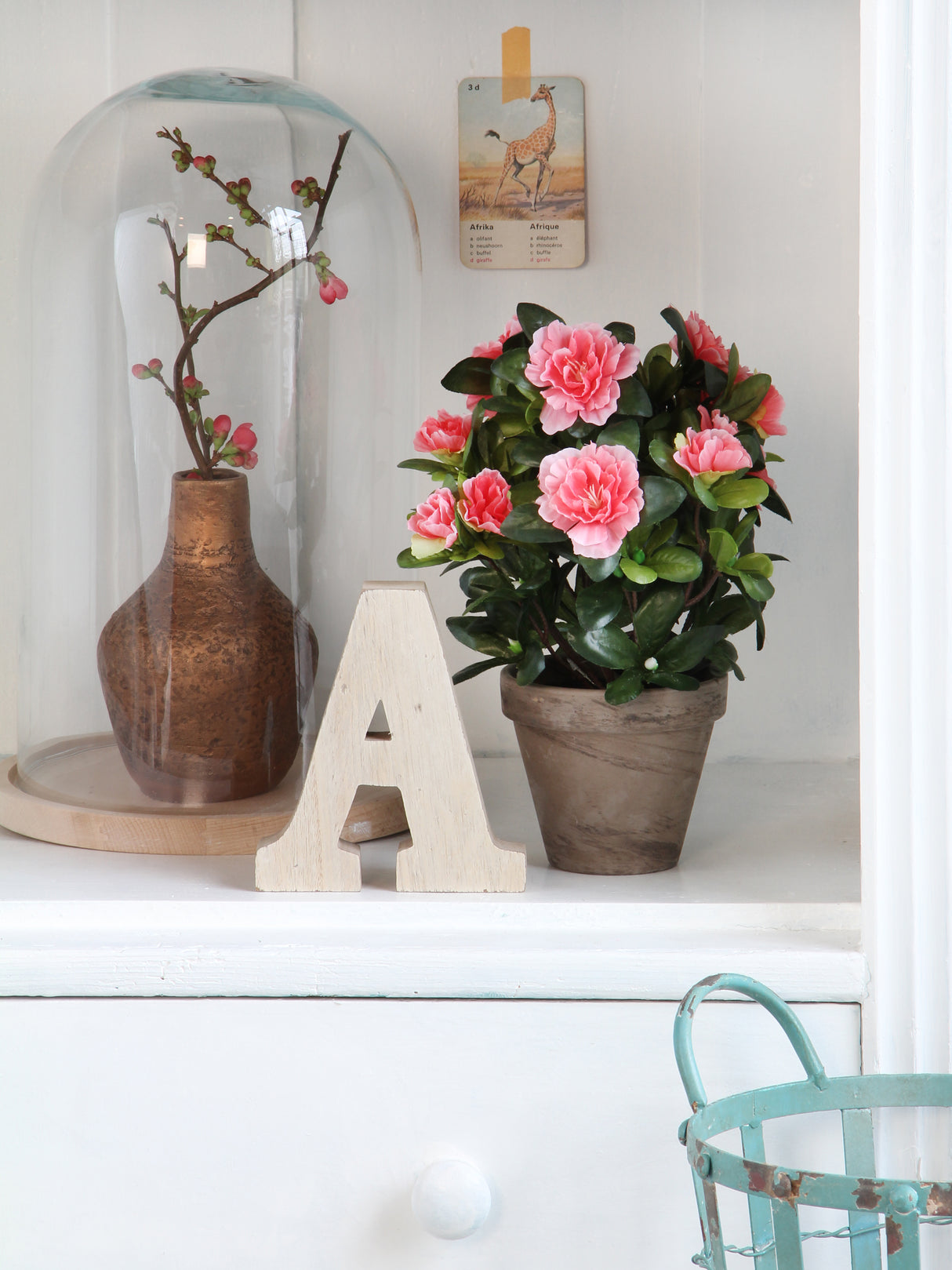 Azalea med ferskenfarvede blomster ved siden af en glasklokke
