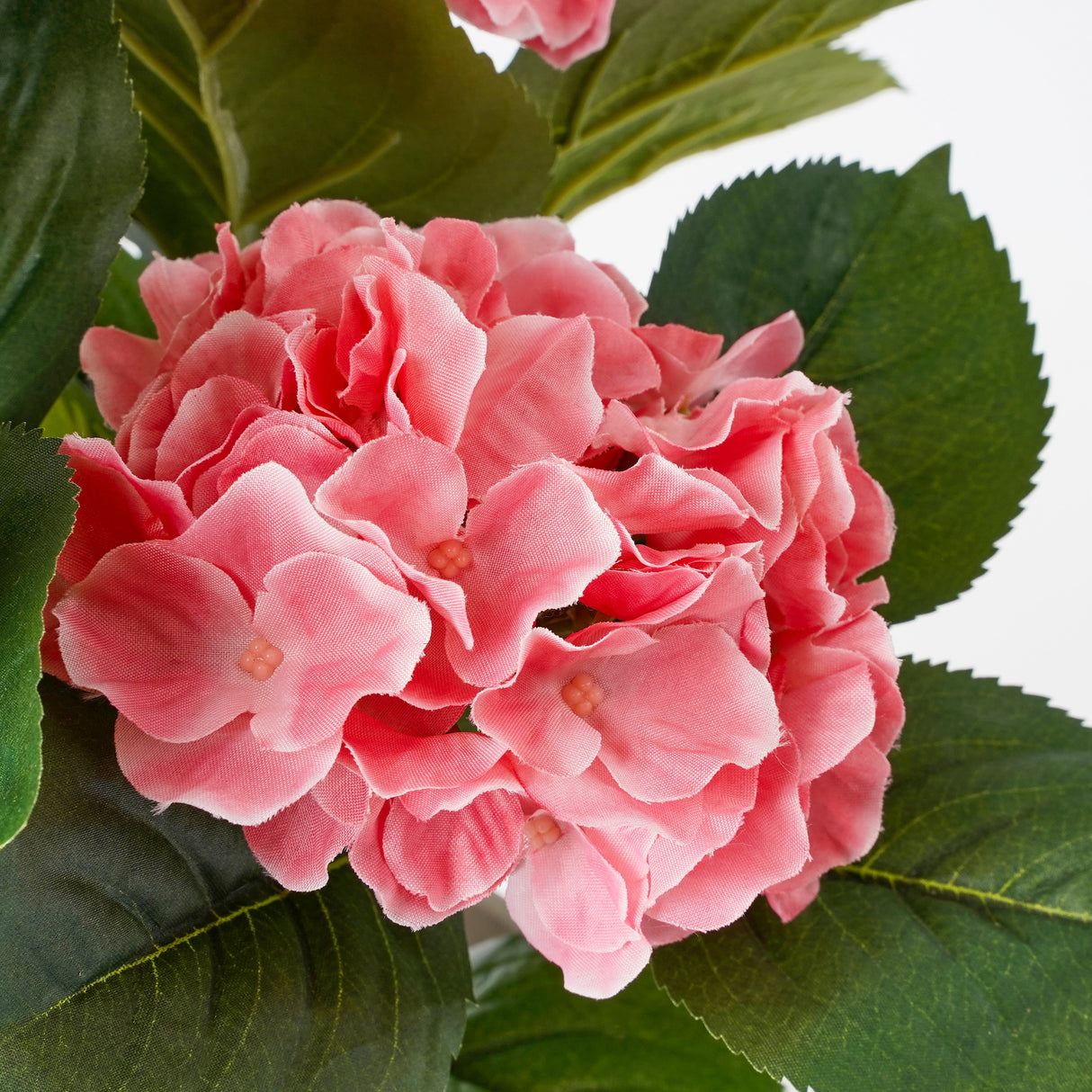 Lyserød blomsterklase på kunstig hortensia set tæt på