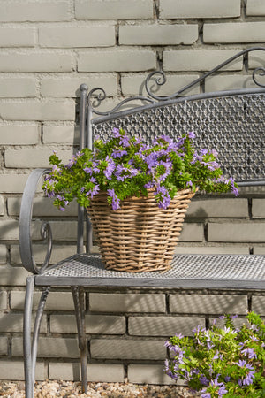 Marcia rund kurv i grå rattan med lilla fjeldblomst i på havebænk