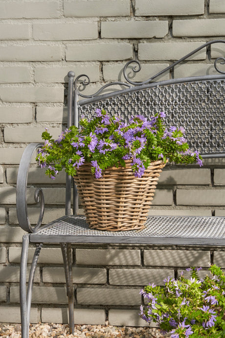 Marcia rund kurv i grå rattan med lilla fjeldblomst i på havebænk