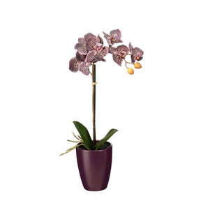 Kunstig Phalaenopsis orkidé mauve i farvet potteskjuler