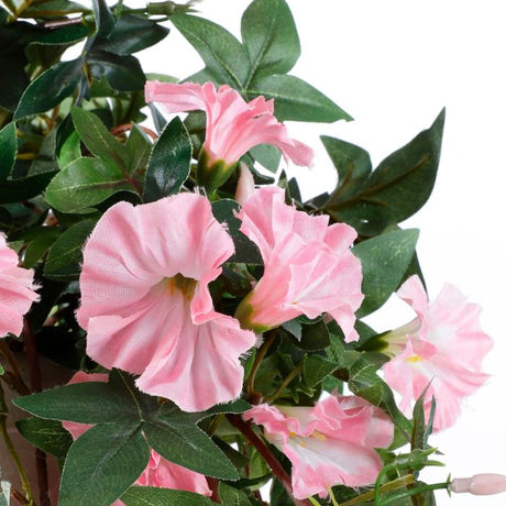 Hængepetunia lyserød