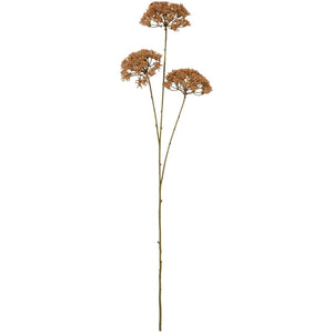 Konstgjord blomstjälk från Ib Laursen med tre nötbruna skärmblommor på långa, bladlösa stjälkar.