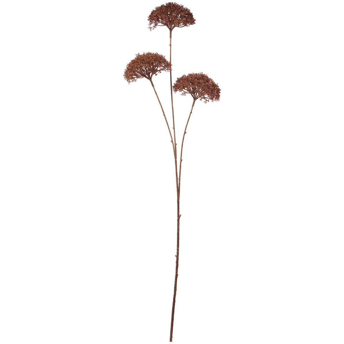 Konstgjord blomsterstjälk från Ib Laursen med tre mörkbruna skärmblommor på långa, bladlösa stjälkar.