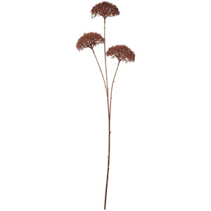 Konstgjord blomsterstjälk från Ib Laursen med tre mörkbruna skärmblommor på långa, bladlösa stjälkar.