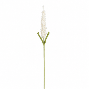 Virkad vit lavendelblomma med ett par gröna blad och lång stjälk, 48 cm